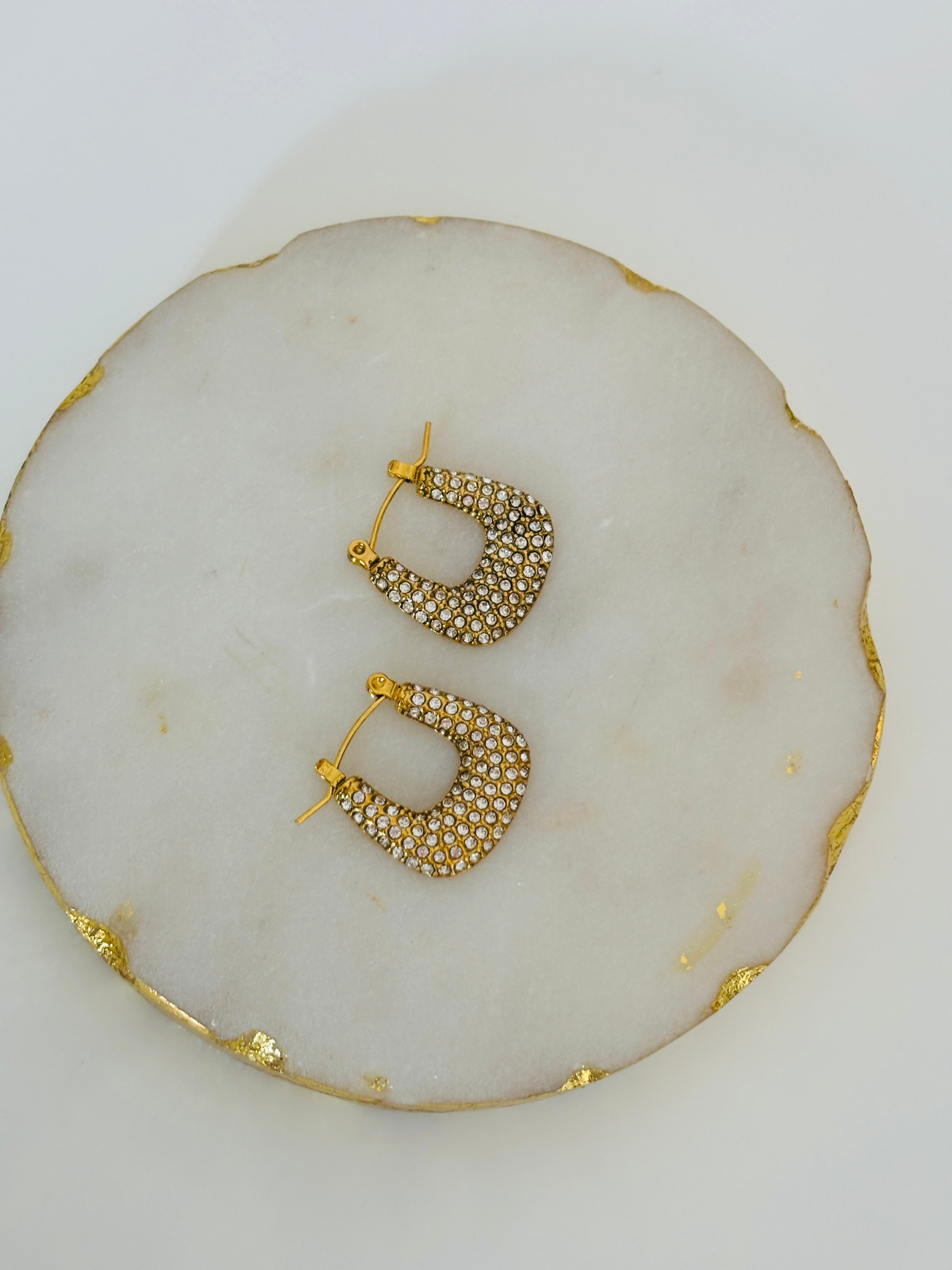 AD diamond studded bag earring