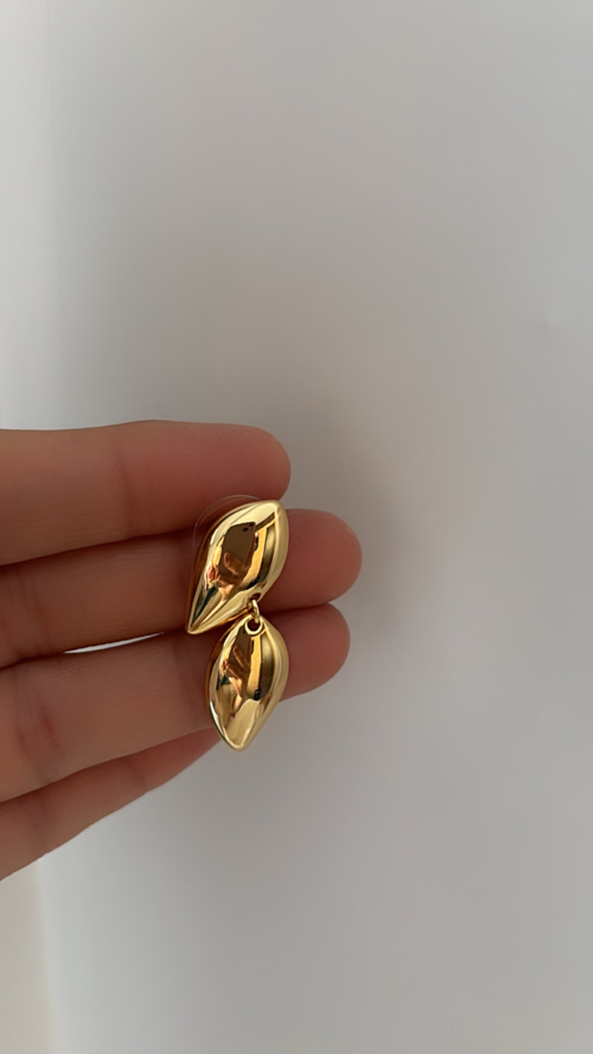 Wings earring