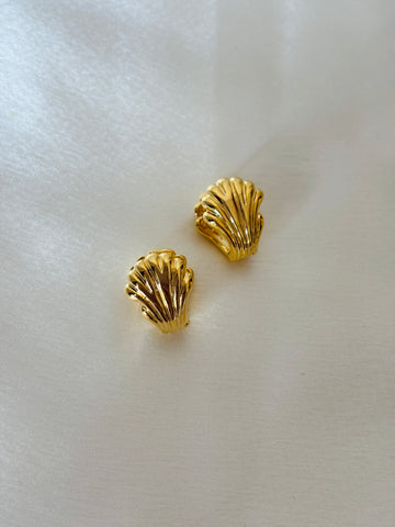 Mini shell hoop