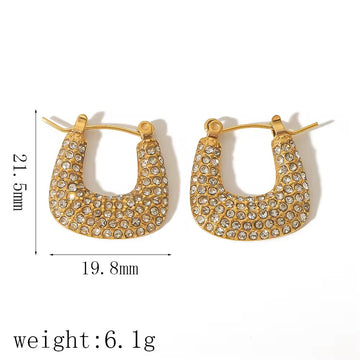 AD diamond studded bag earring